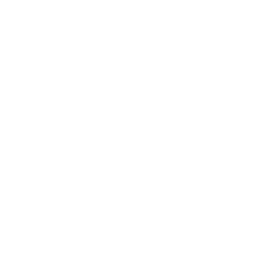 Security Personnel